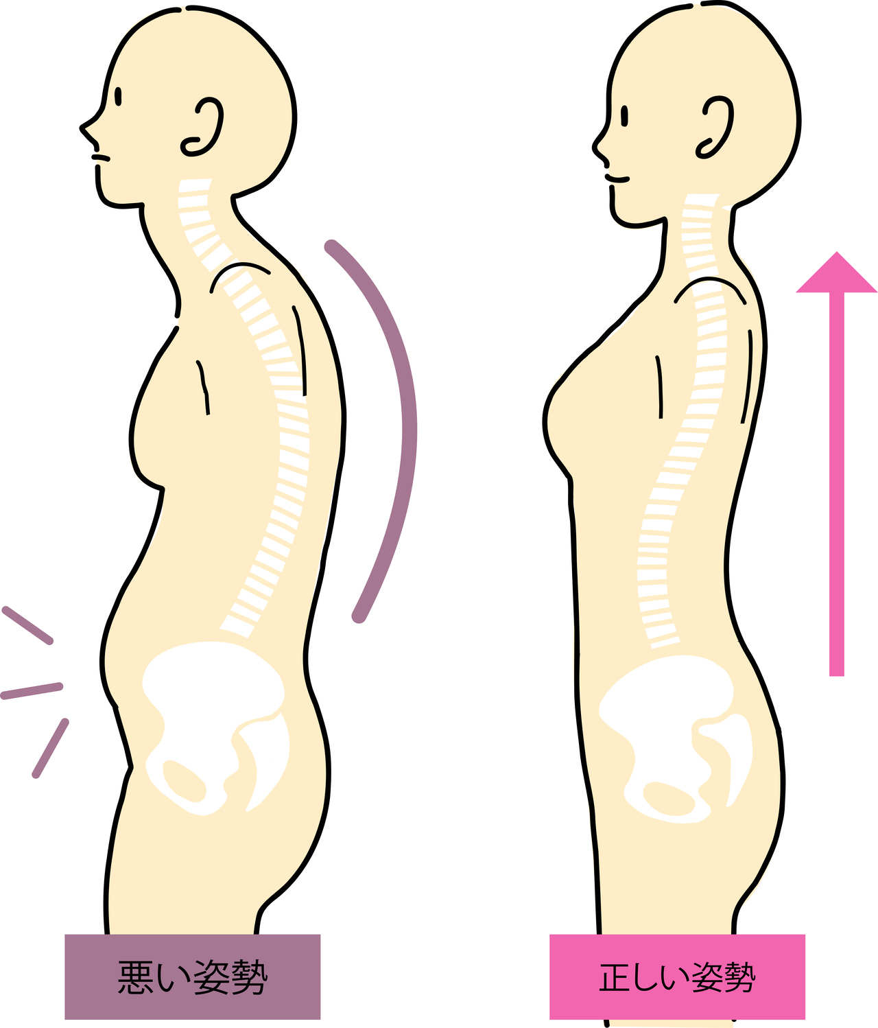 悪い姿勢と良い姿勢