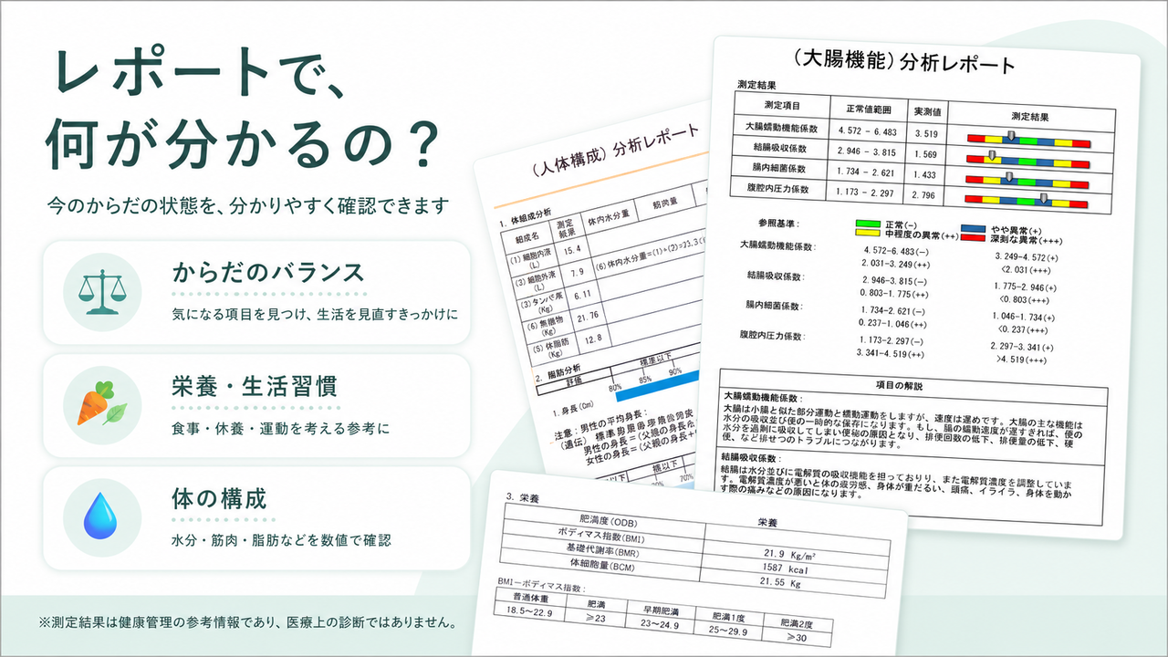 レポートで分かること