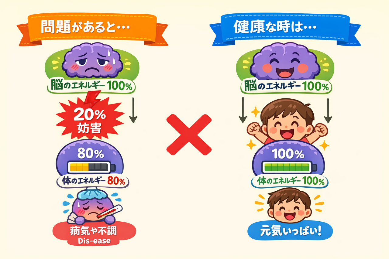 上部頸椎でゆがみで阻害された身体と健康な身体