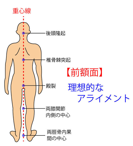 前額面の理想的なアライメント