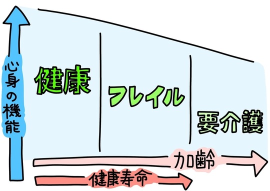 フレイルになる過程