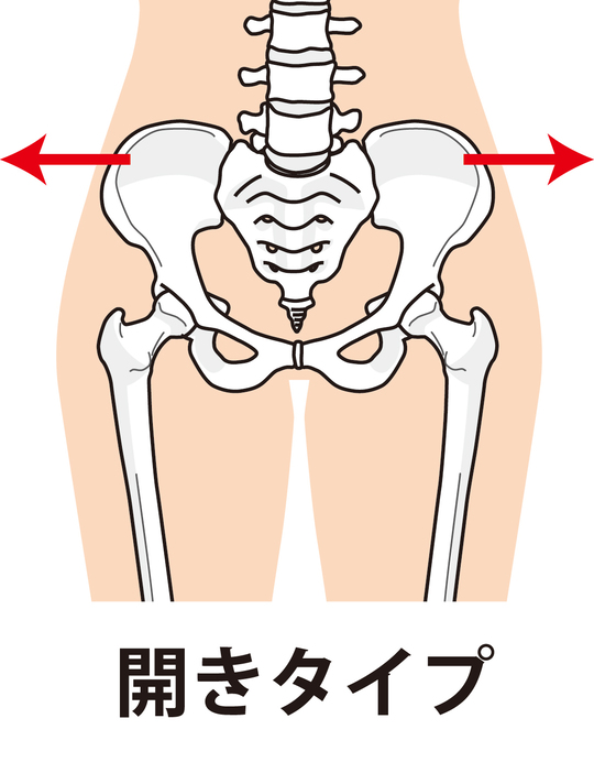 開いた骨盤のイラスト